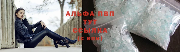 a pvp Ельня