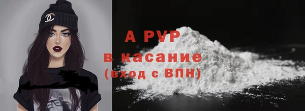 прущие грибы Елабуга