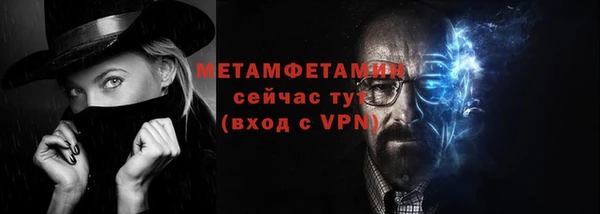 прущие грибы Елизово