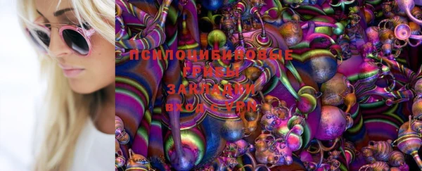 a pvp Ельня