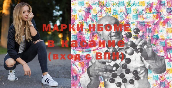 прущие грибы Елабуга
