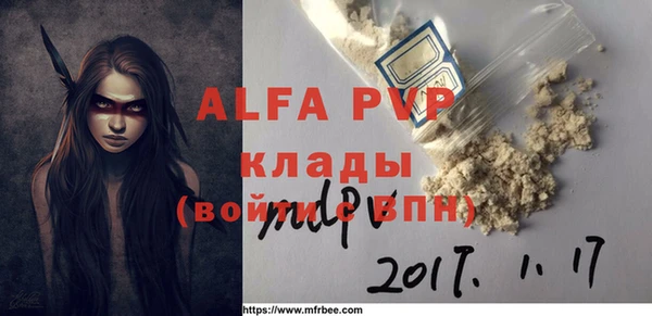 прущие грибы Елизово